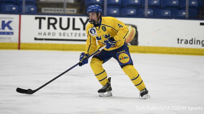 Sweden hockey player world juniors